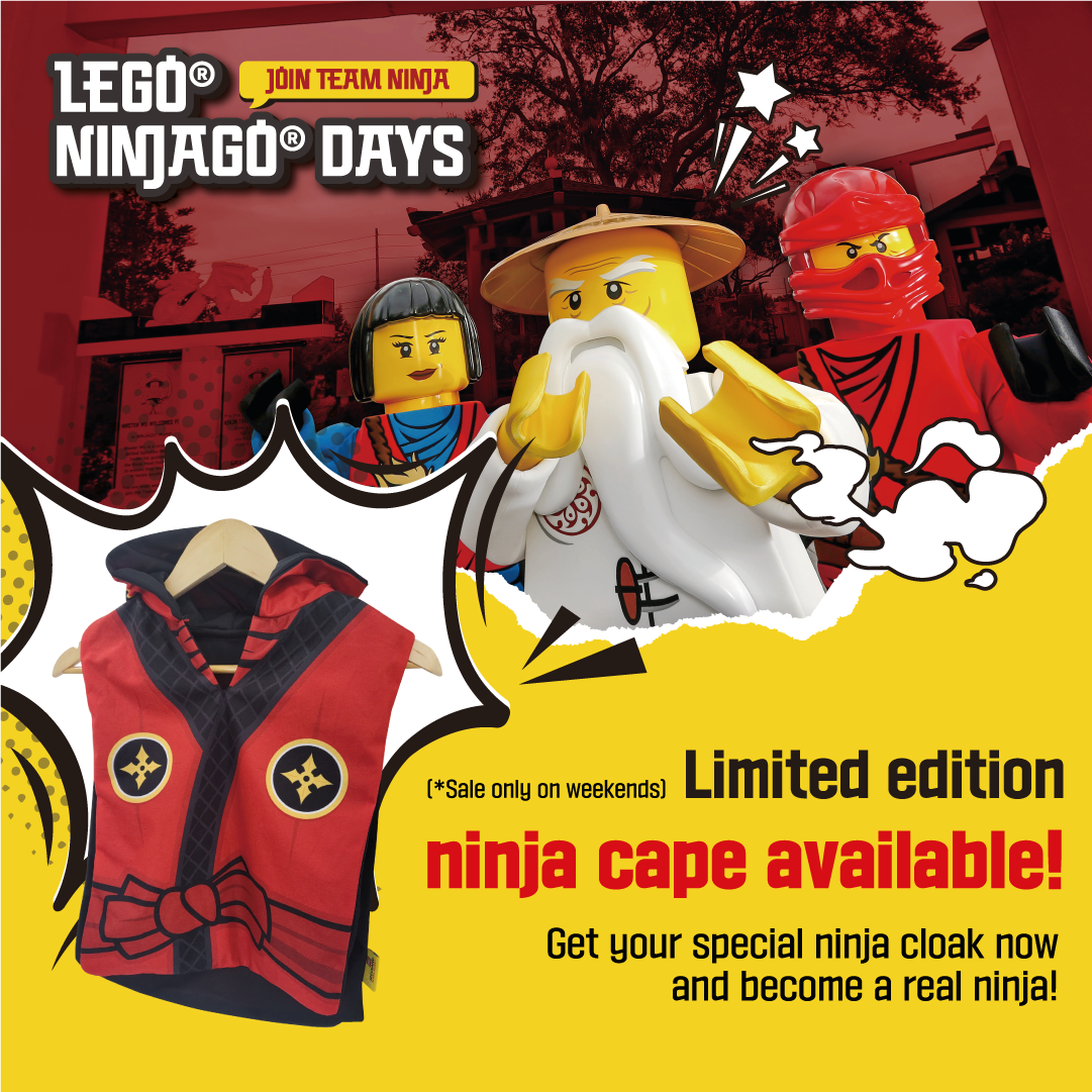 Ninjago deals ninja day