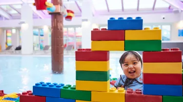 240206 LEGO LAND 03076 (1)