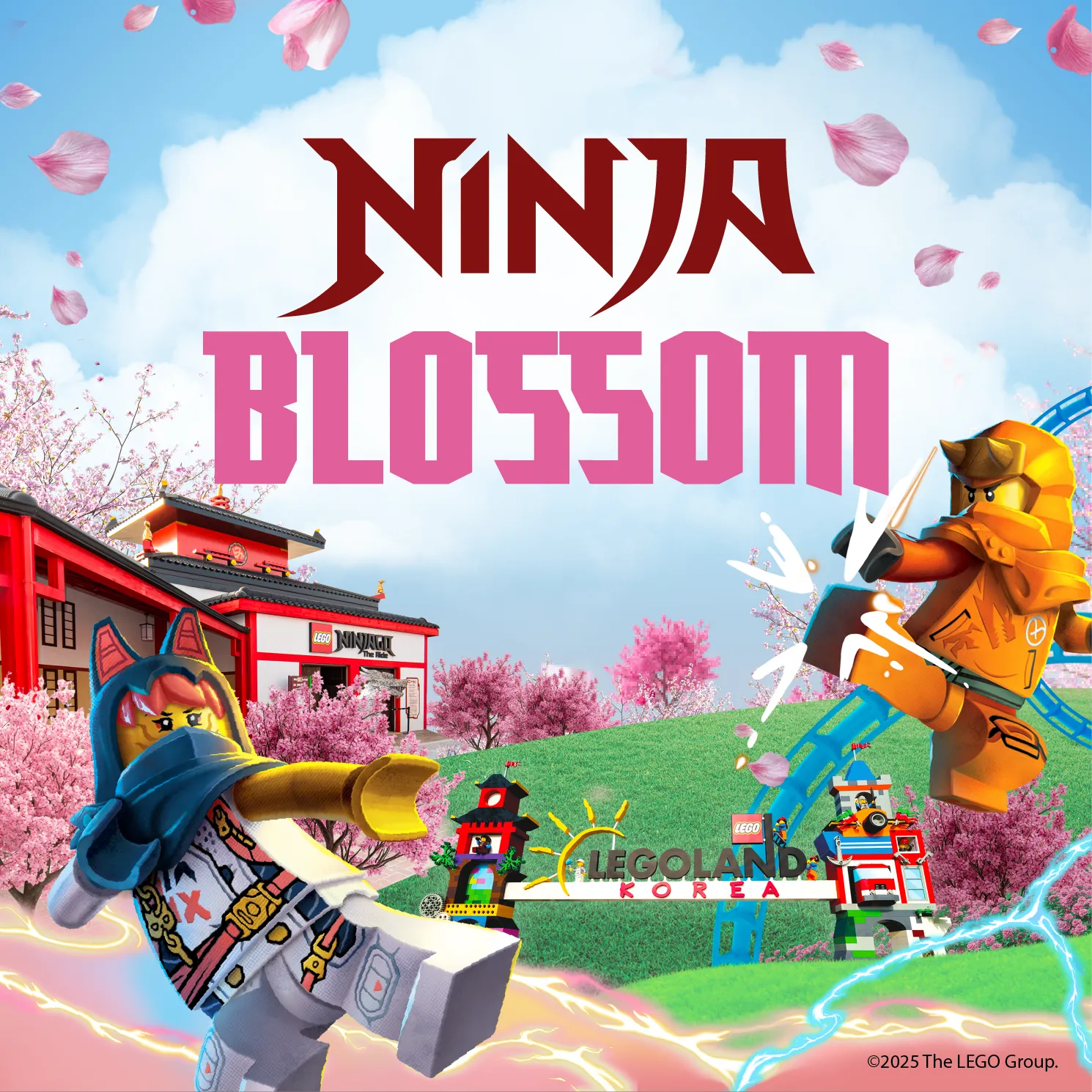 ninja blossom